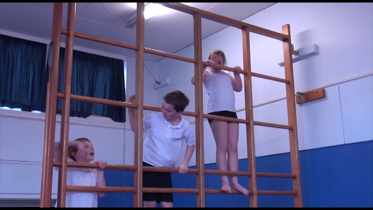 PE Subject Leader Case Study