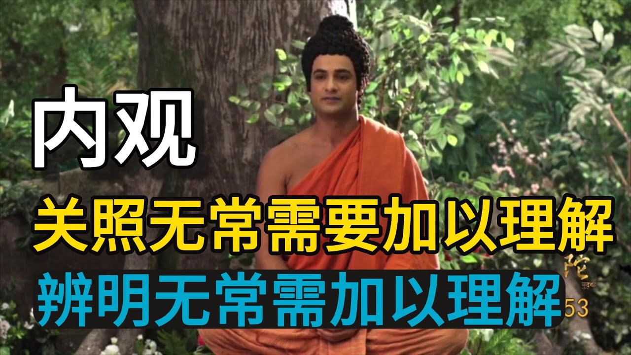 内观禅修：关照无常需要加以理解，辨明无常需加以理解#内观#禅修#冥想