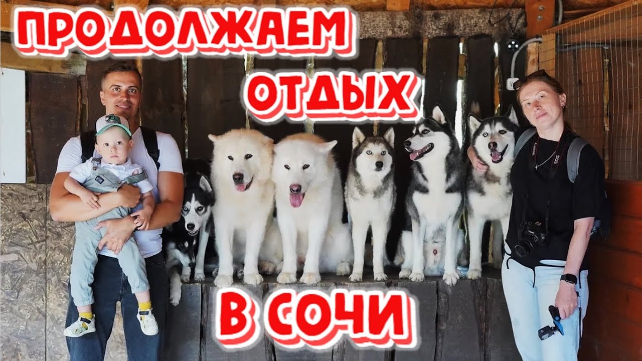 Сочи | Продолжаем отдых с ребенком в горах. Отель Эрбелия от Васта