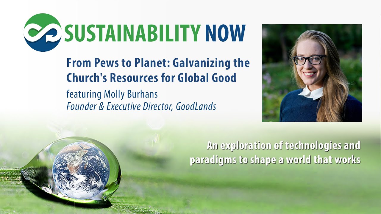 86 From Pews to Planet  Galvanizing the Church's Resources for Global Good