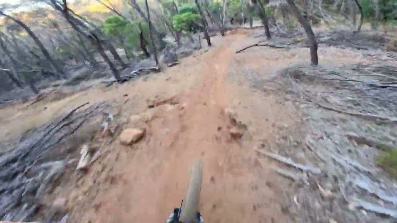 Orange Grove Trail 4 1/2 Runs on The Trail