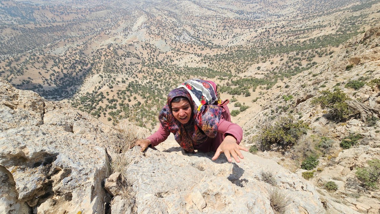 Bazegasht's endless rage:⛰️Kulthum's difficult journey in the mountains for a rare herbal medicine 🌿