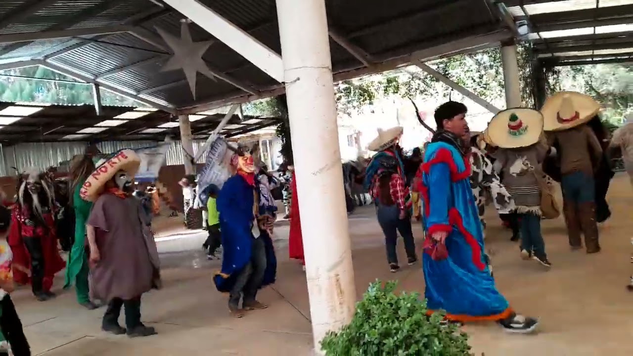 Carnaval carpinteros hidalgo 2024