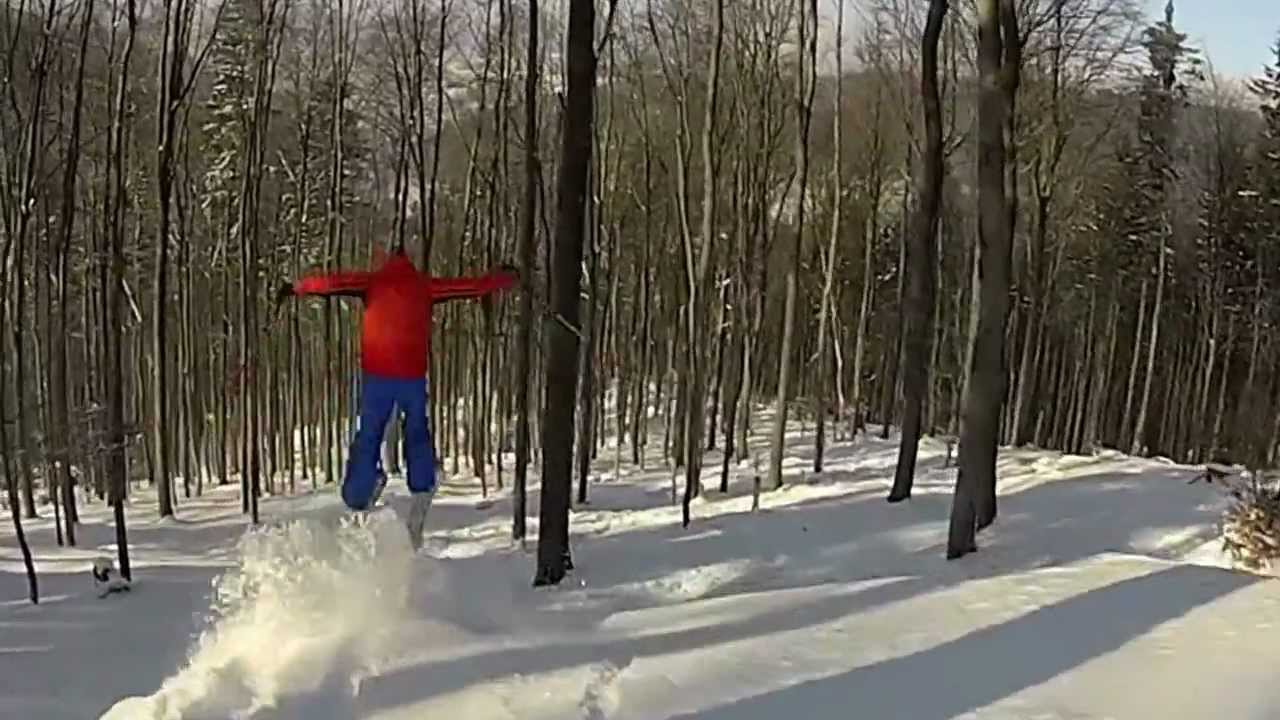Goldlauter tree runs Stiff & Alex