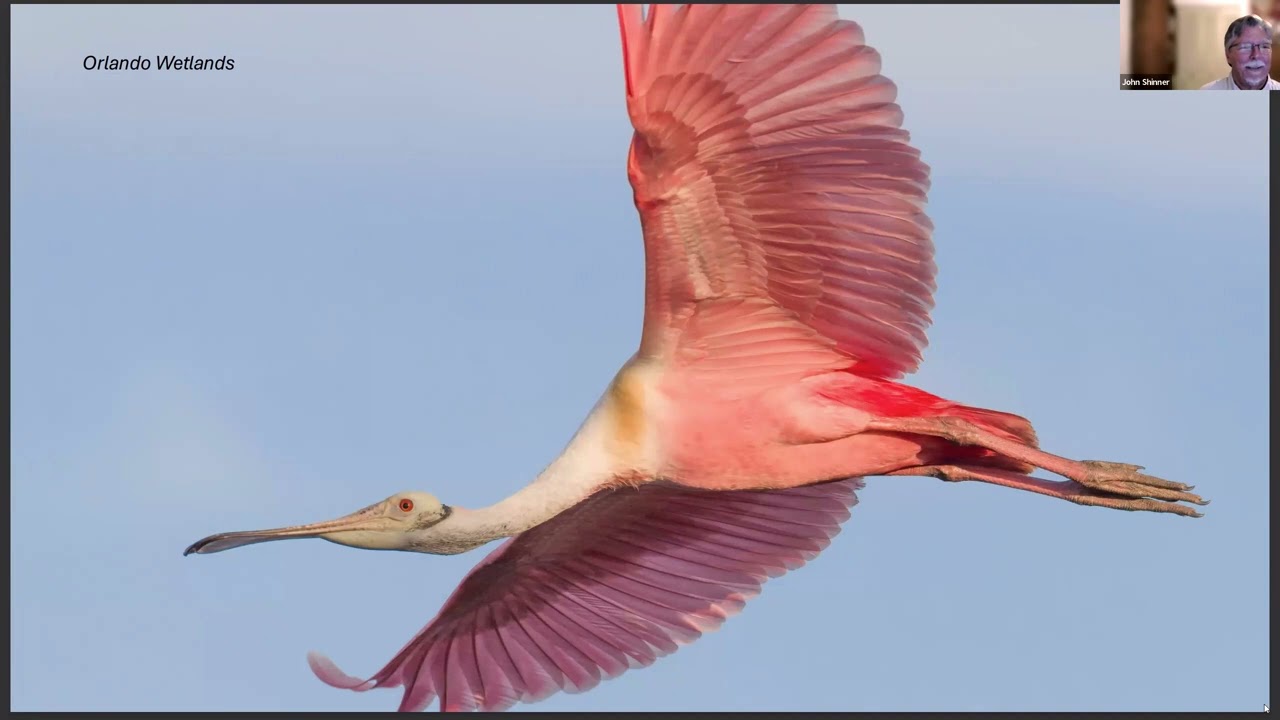 Outdoor Florida Webinar - June 2024