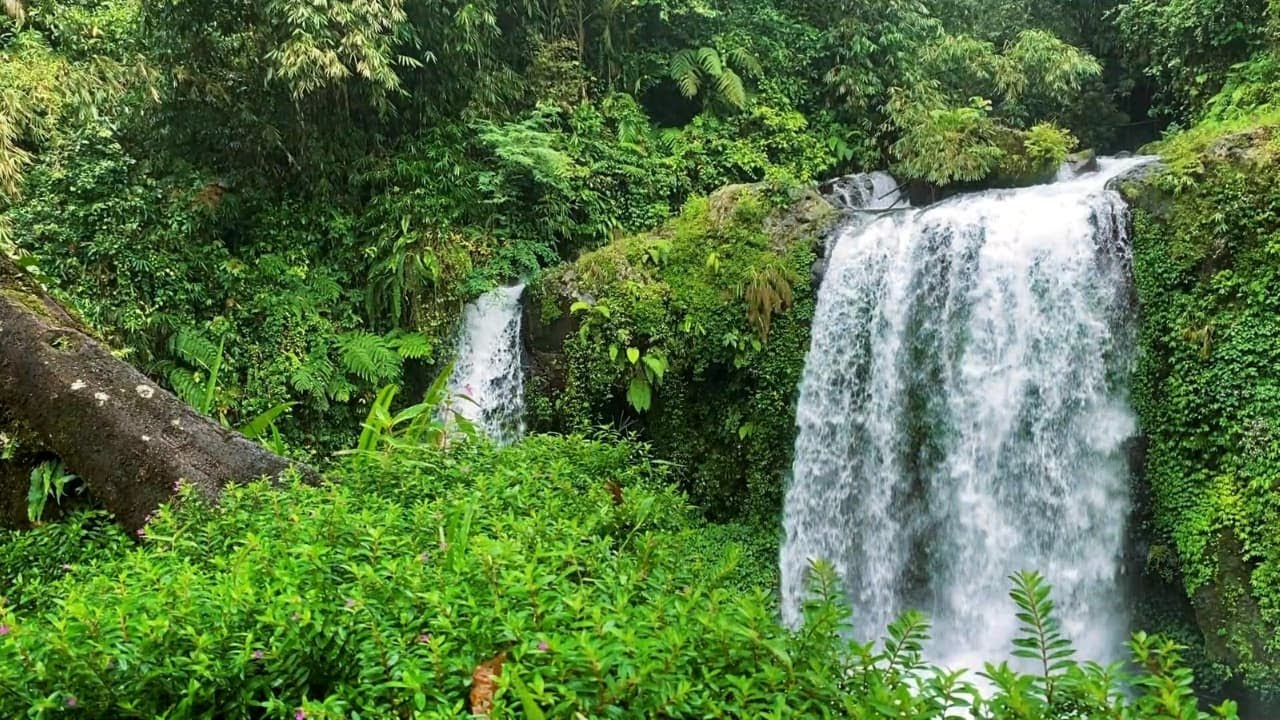 Waterfall Flowing in a Mountain Forest  Waterfall Sounds, Flowing Water. White Noise for Sleep.#1