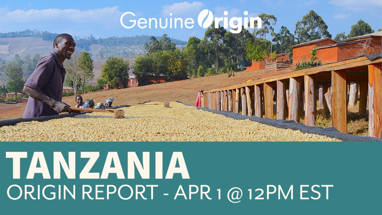 Tanzania Green Coffee Origin Report Webinar