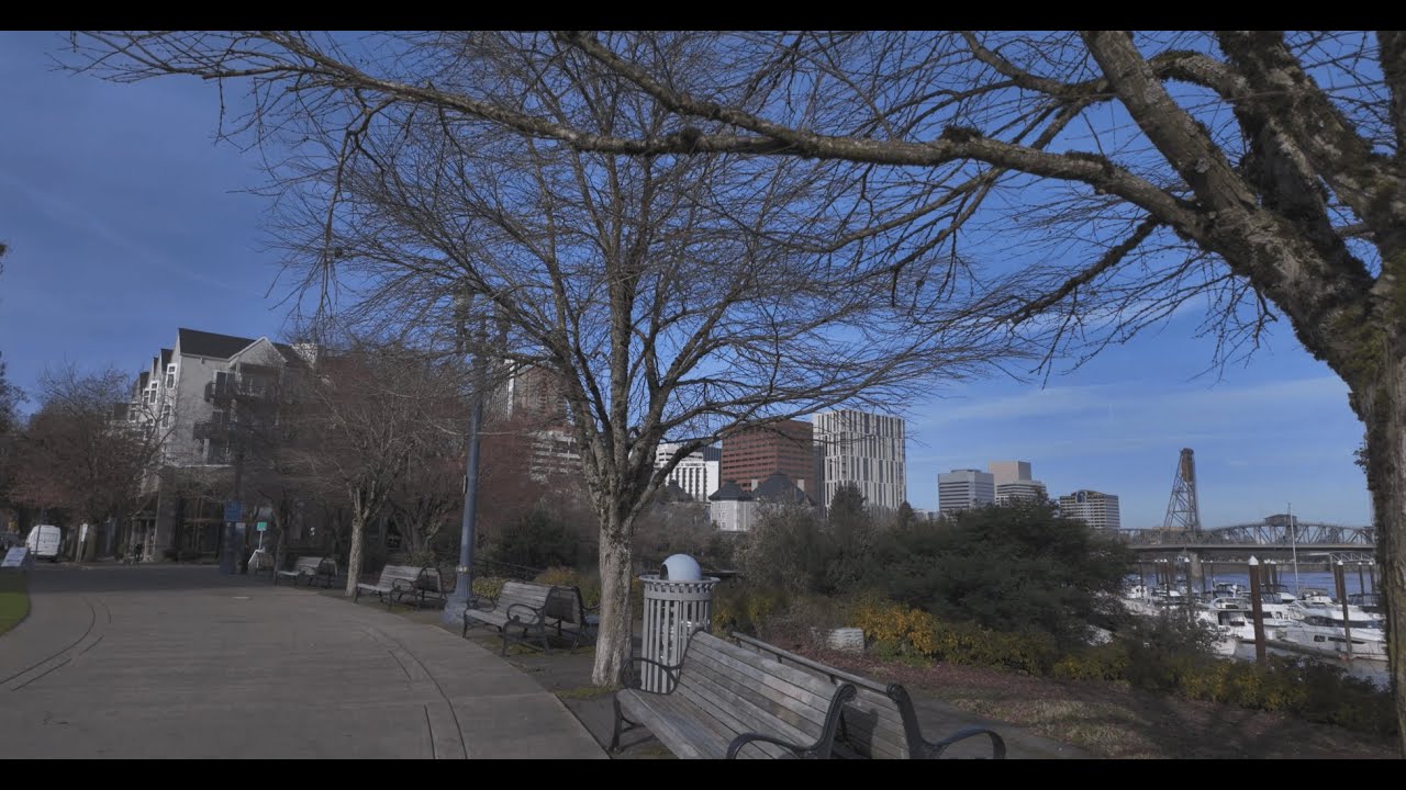 South Waterfront Park, Portland, Oregon, walk in 4K | DJI Pocket 3