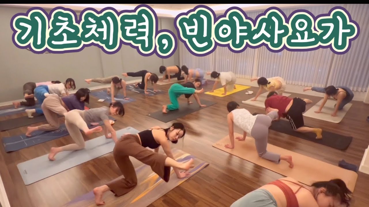 [엔젤요가] 기초체력을 길러주는 빈야사요가