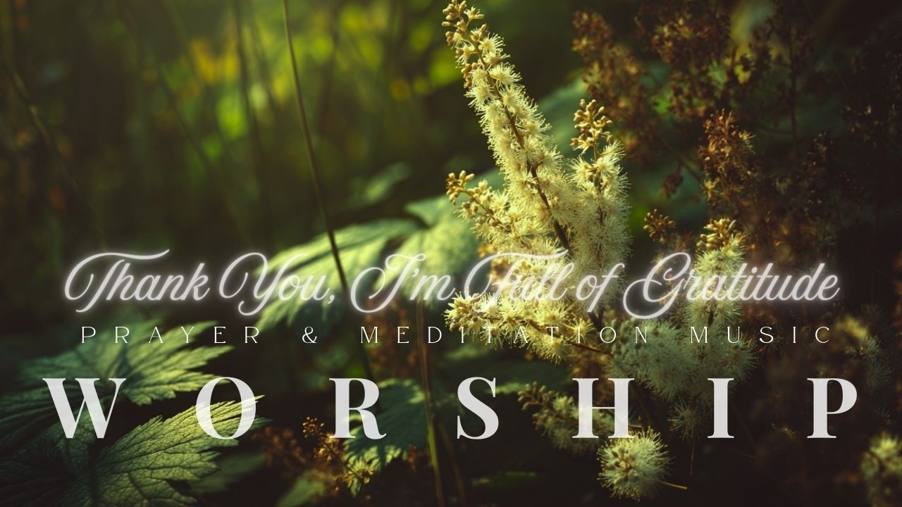 Thank You, I'm Full of Gratitude - Elevation Worship |  Prayer & Meditation Music