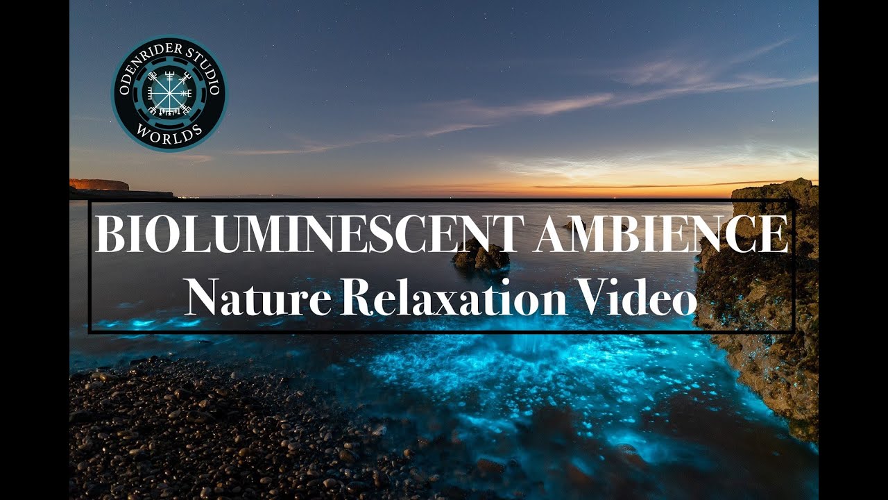 Soft Bioluminescent Ocean Waves | Relaxing Evening Beach Ambience & Soundscape | Breathtaking Sunset