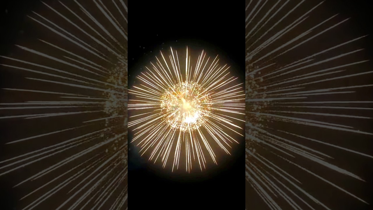 World's Biggest Sky Shot 2024💥☠️#shorts #diwalispecial #skyshot @wildsherniislive
