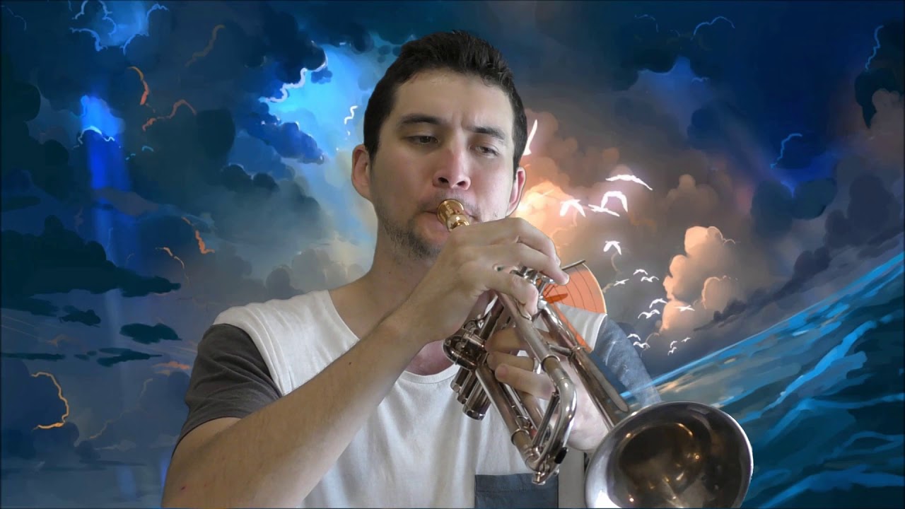 One Piece OST - To the Grand Line┃Trumpet Cover