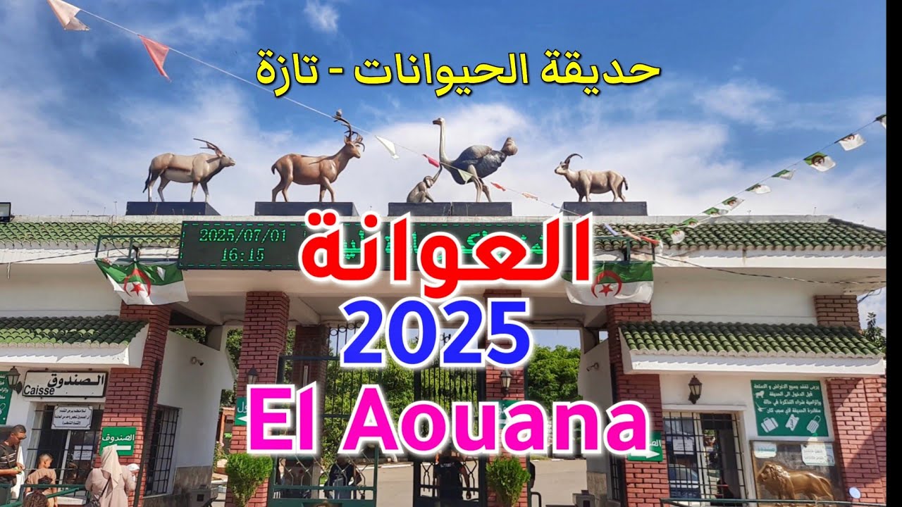 العوانة - جيجل 2025 El Aouana - Jijel