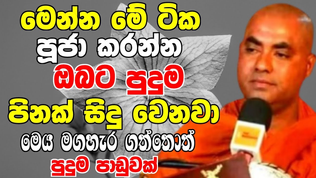 ඔබත් මෙන්න මේ ටික පූජා කරගන්න..ඔබට පුදුම පිනක් සිදුවෙනවා | Ven Koralayagama Saranathissa Thero 2024
