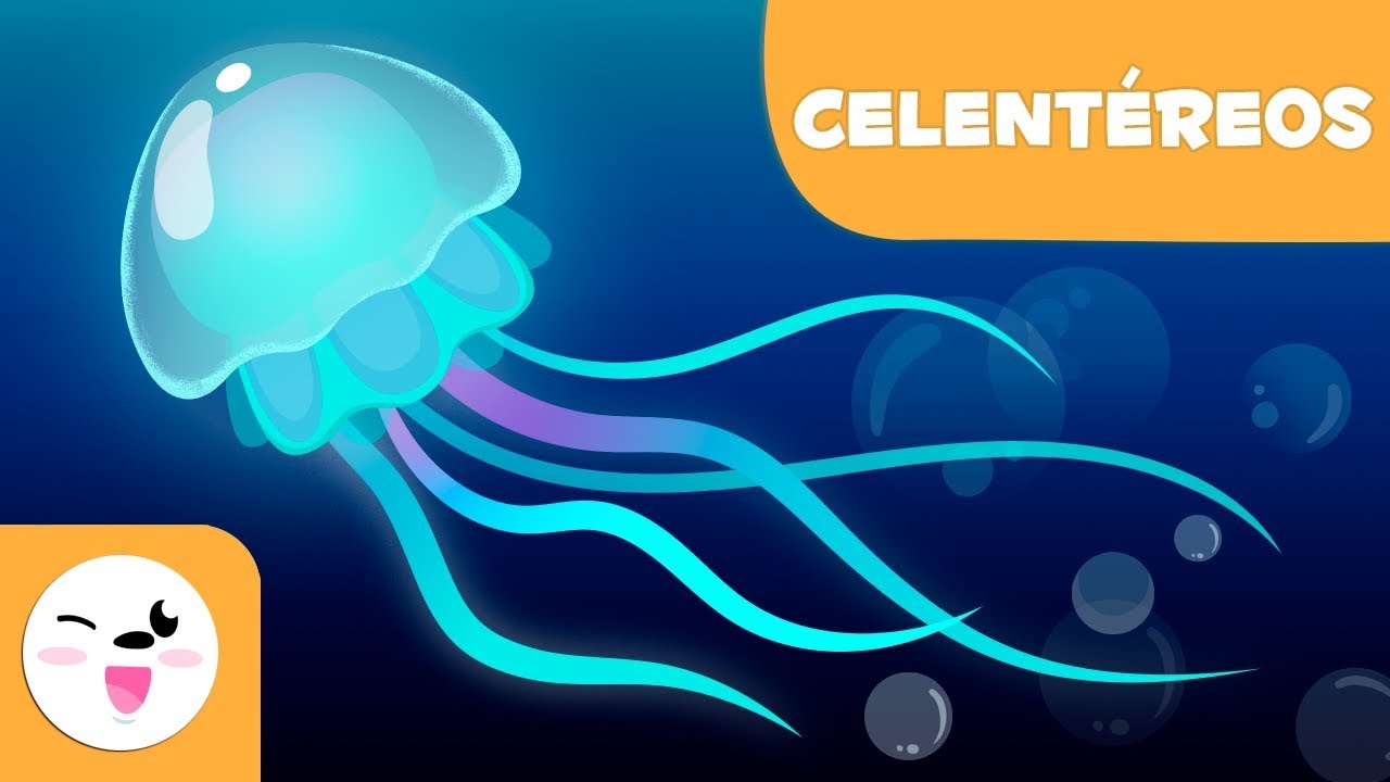 Los celentéreos para niños - Animales invertebrados - Ciencias naturales para niños