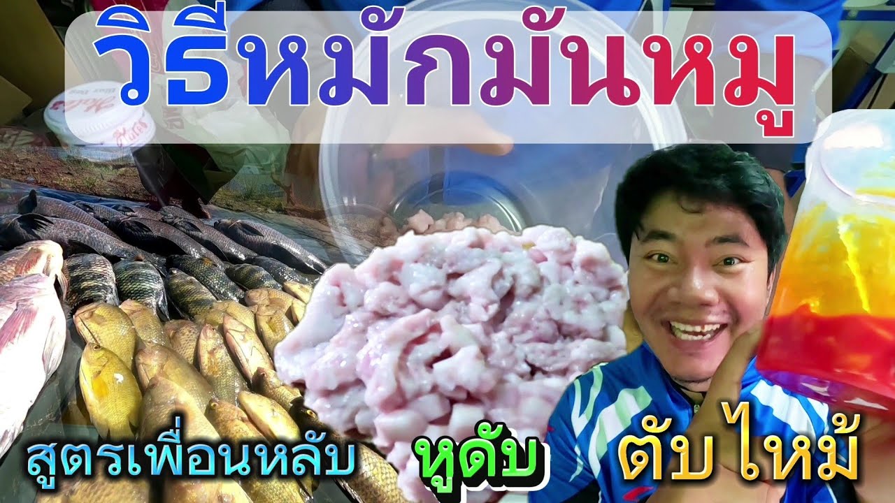 วิธีหมักมันหมูสูตรเด็ด ใช้สำหรับตกปลาหน้าดิน