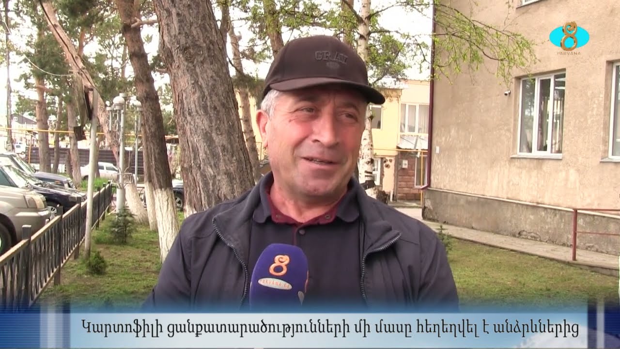 Некоторые картофельные поля были затоплены дождями Կարտոֆիլի դաշտերի մի մասը հեղեղվել է անձրևներից