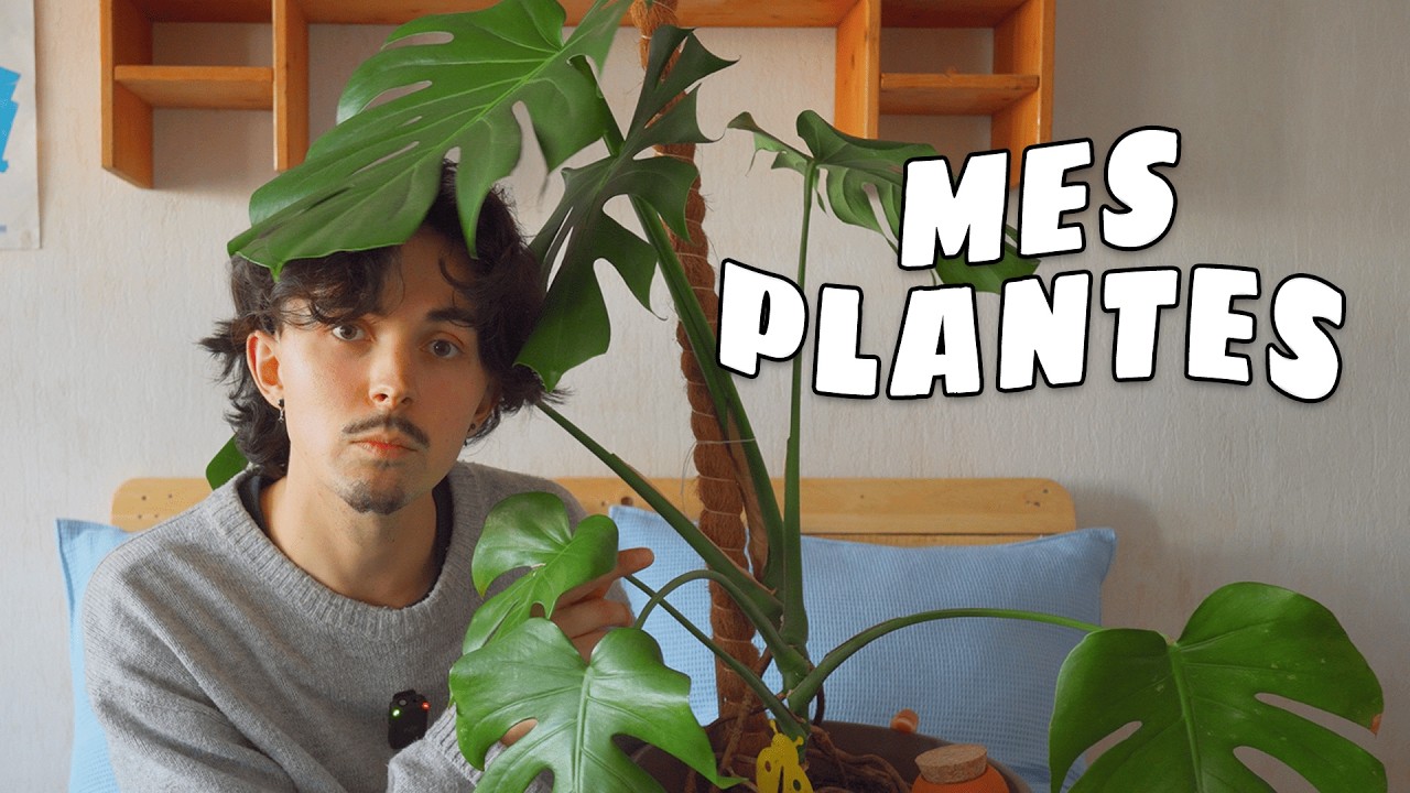Je te présente ma collection de plantes ! | All My Plants