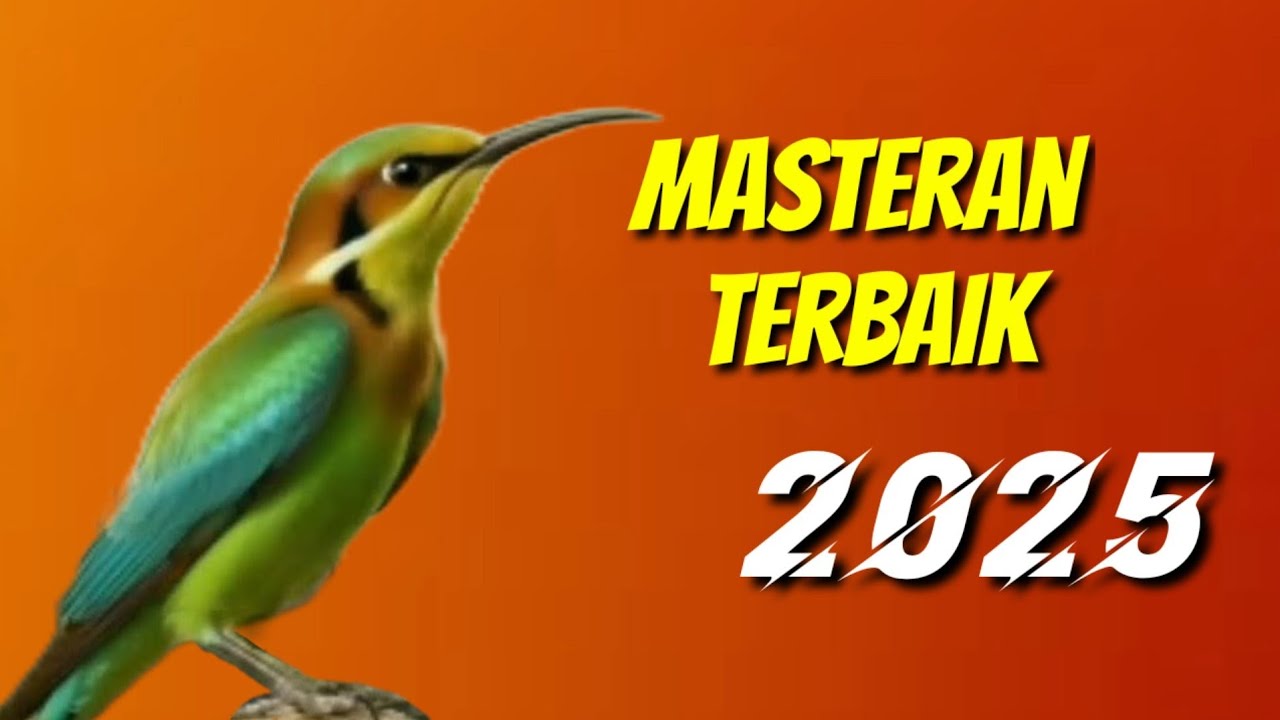 MASTERAN KOMPILASI MEWAH UNTUK SEMUA JENIS BURUNG