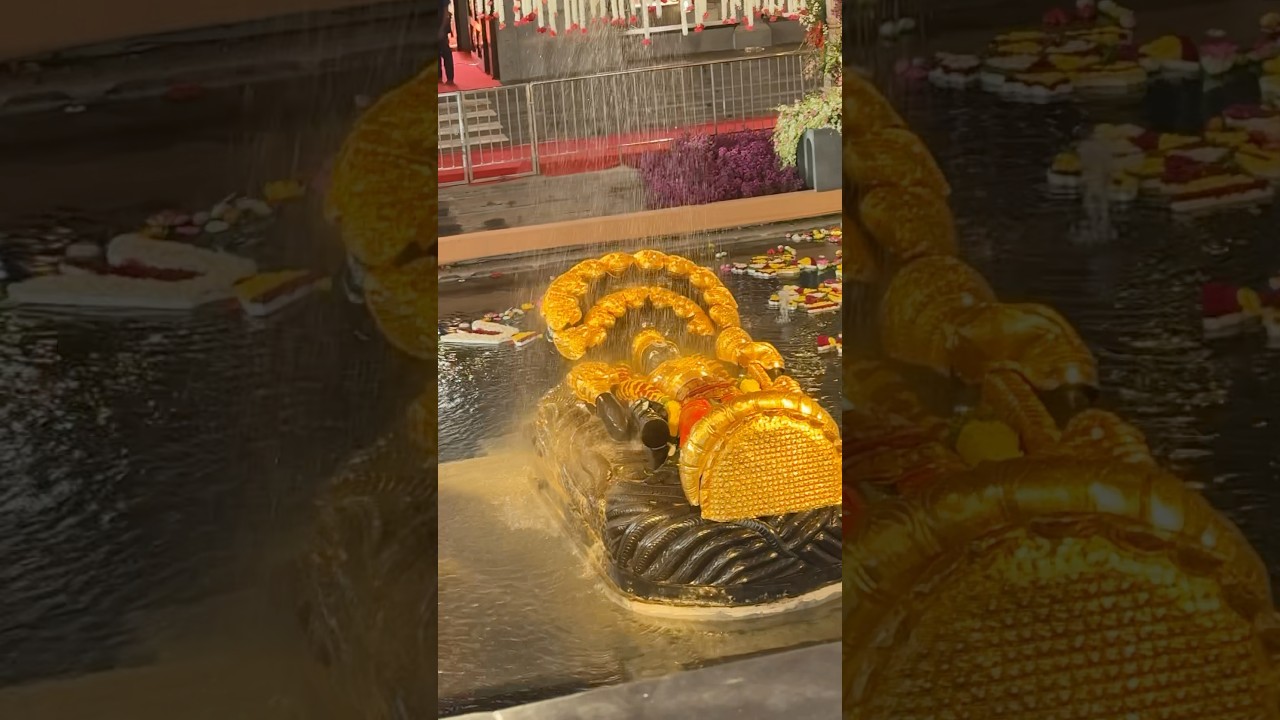 Swarnagiri Vaikunta Ekadasi Koneru decoration || #swarnagiri #vaikuntaekadashi2026 #temple #travel