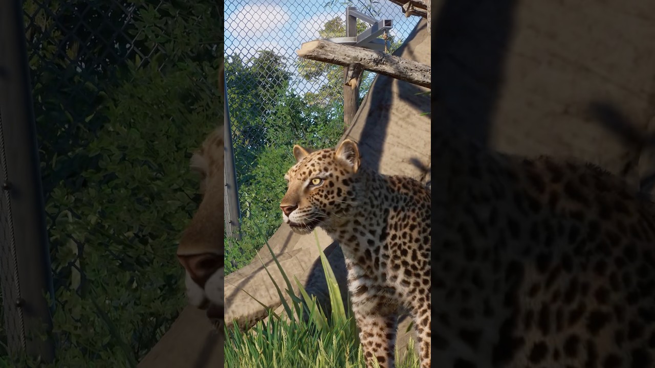 Finished African Leopard Habitat in the Elm Hill City Zoo! 🐆 | Planet Zoo