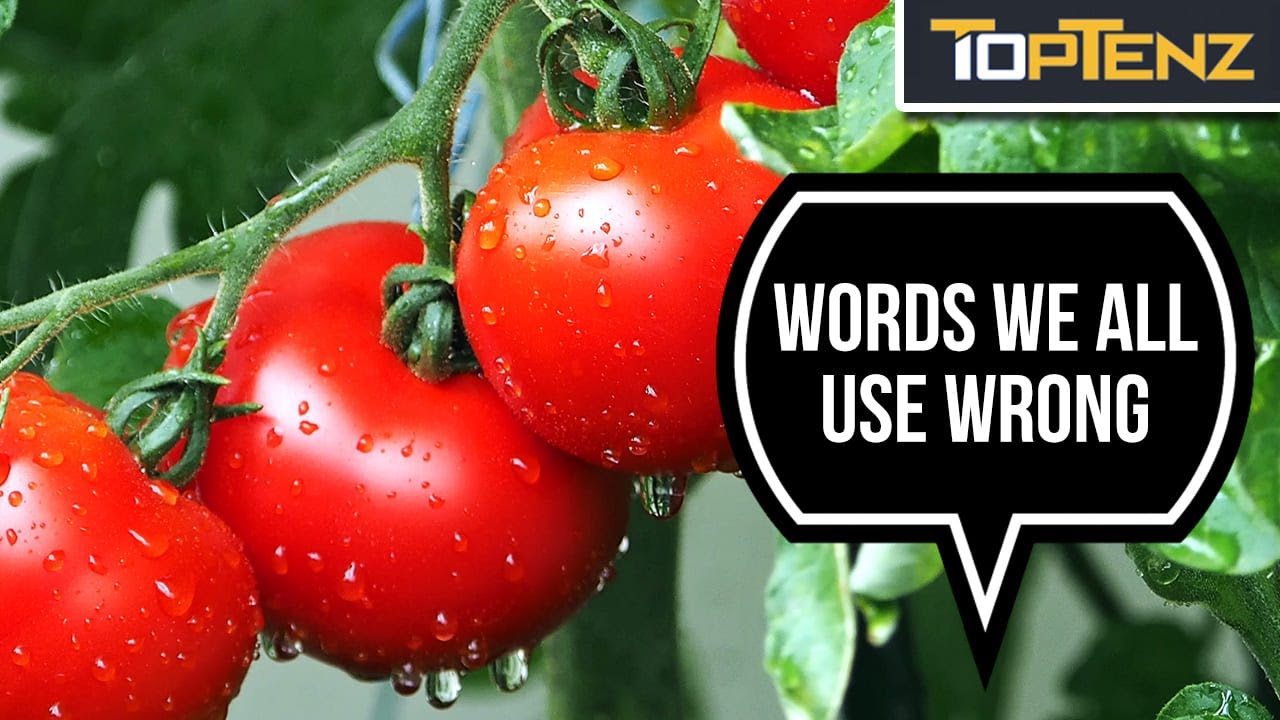 10 Terms That Don’t Really Mean What You Think