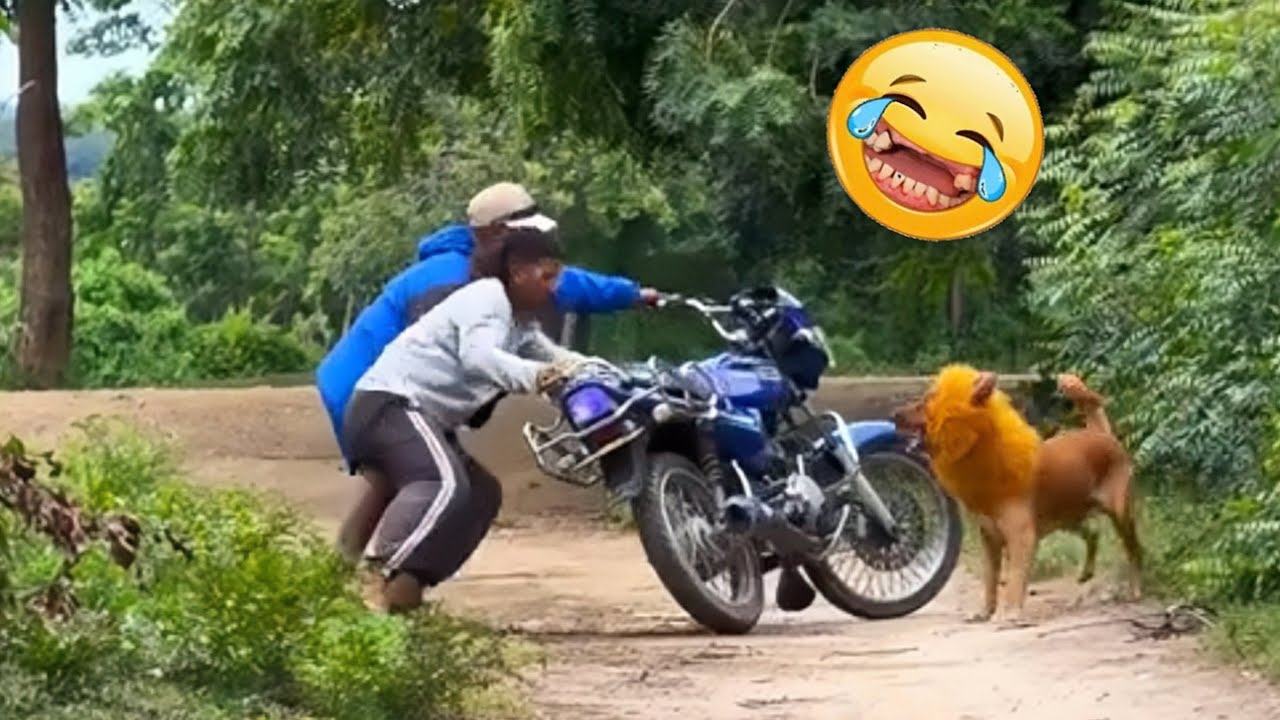 Try Not To Laugh Challenge - This One Is Impossible 😂