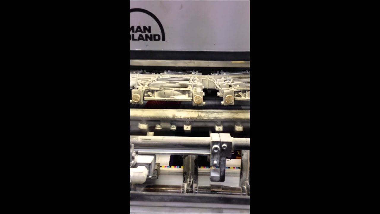 ROLAND 100