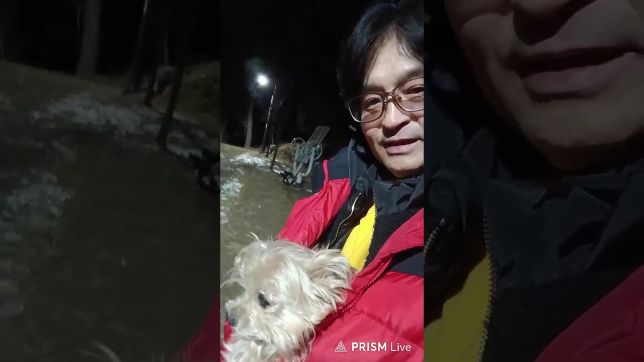 지나파파방송 (예삐 새벽산책도)