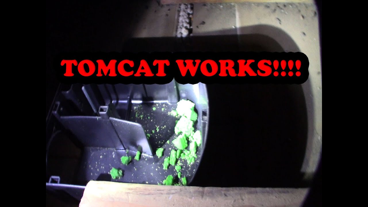 Tomcat mouse and rat bait station trap review part 2