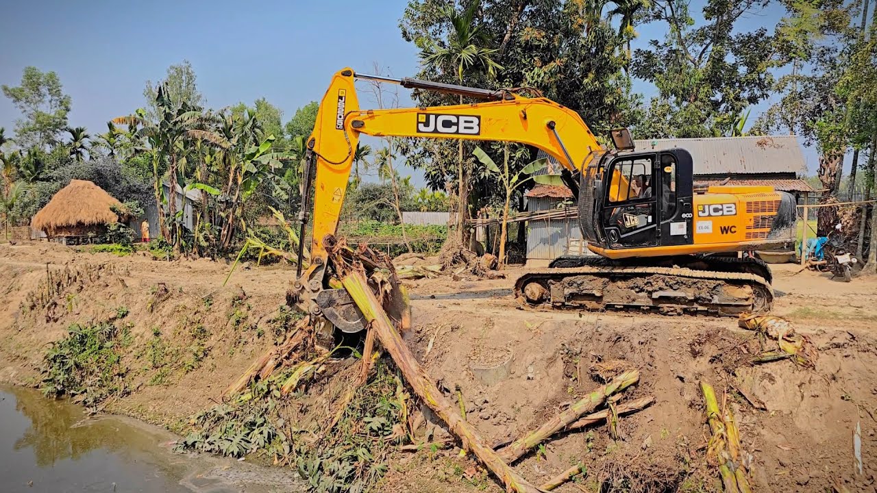 Canal side Clearing Work with Excavator | Removing Tree Stumps Safely