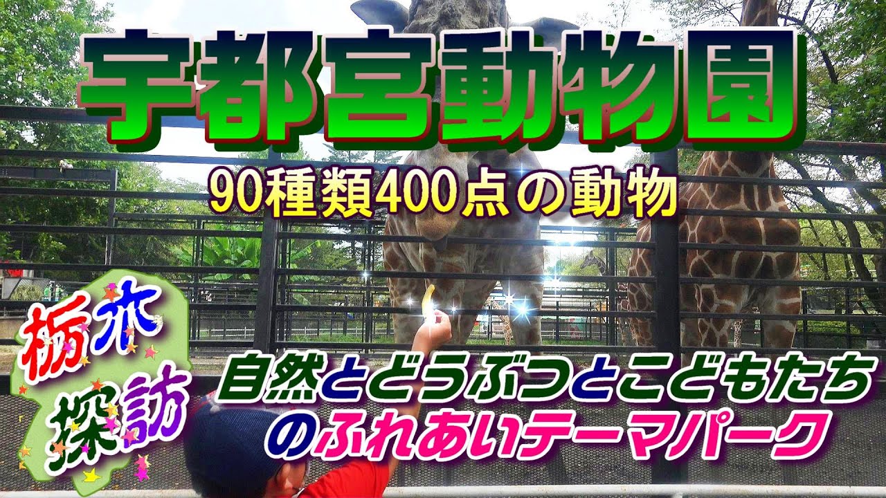 【栃木探訪】宇都宮動物園・90種類400点の動物　