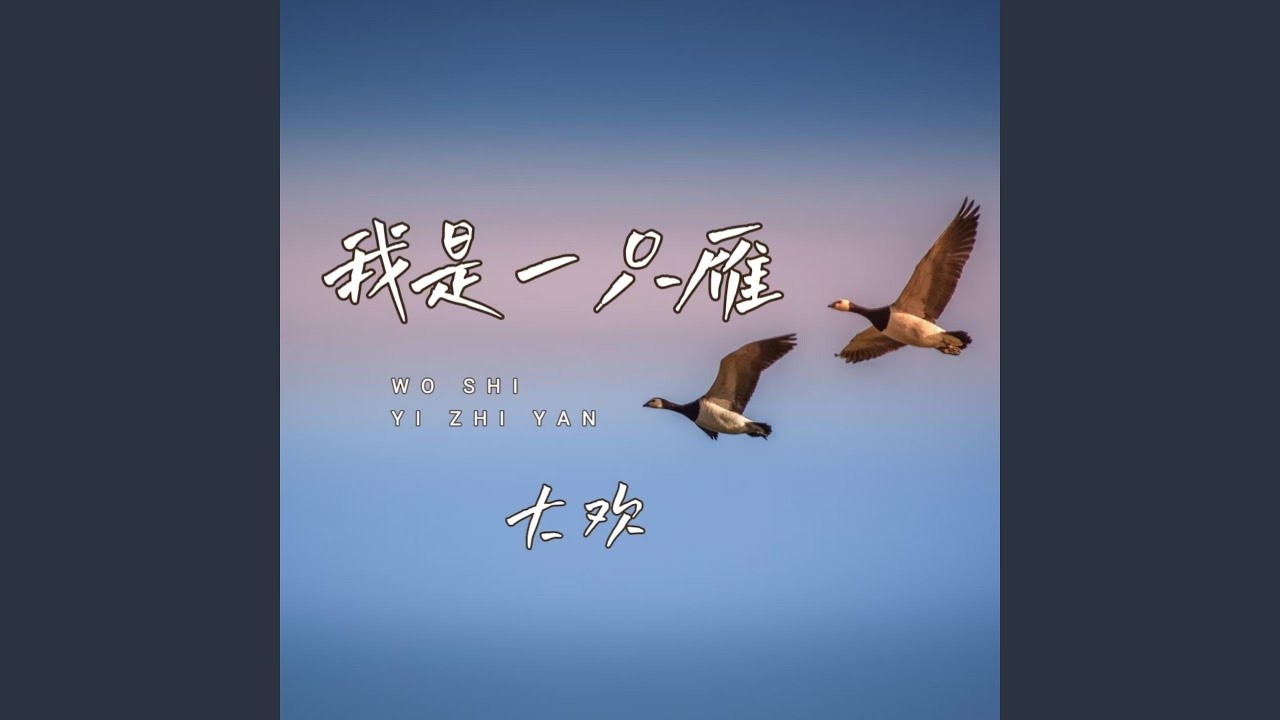我是一只雁