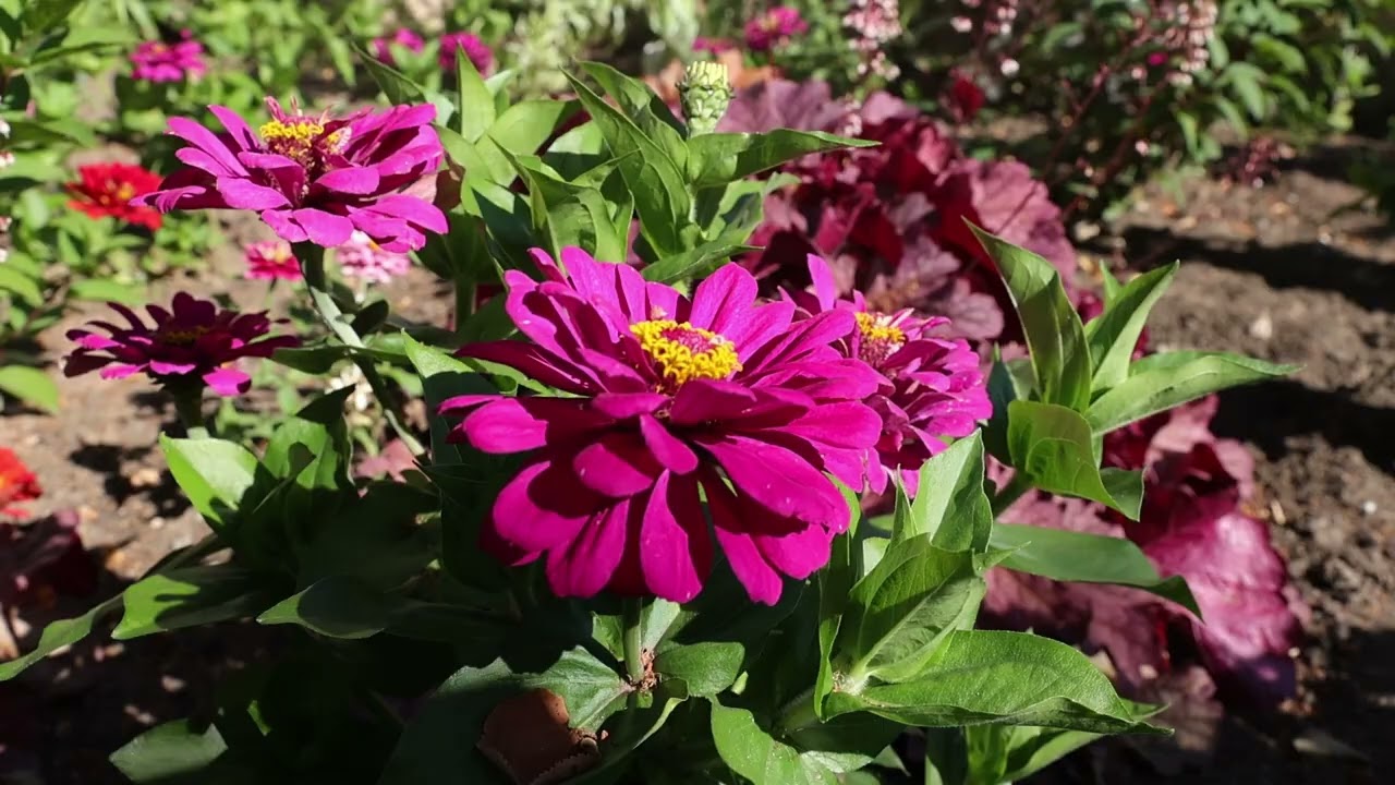 Благовещенское подворье г. Яранска