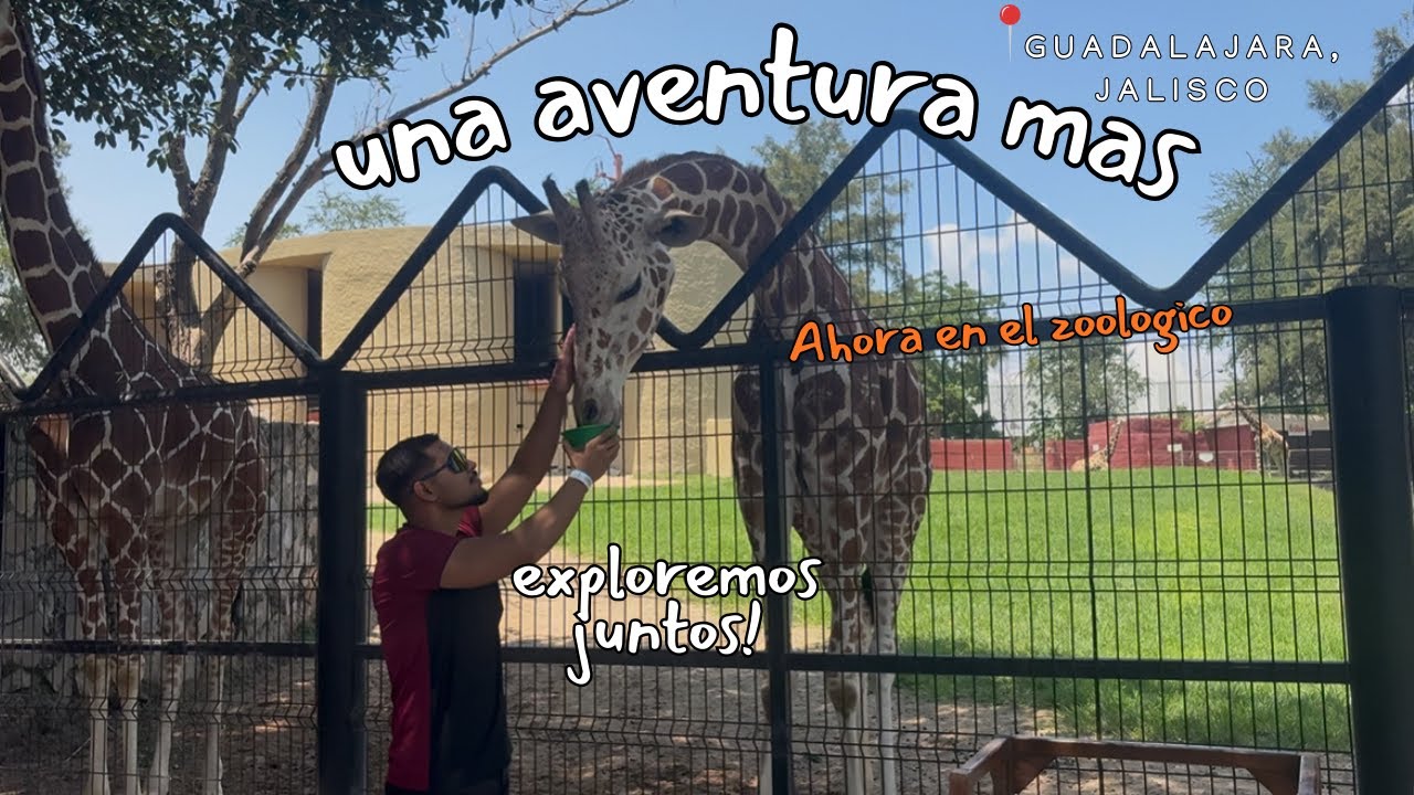 ¡Experiencia DIAMANTE en el Zoo de Guadalajara! Safari, Sky Zoo y mucho más 🦁🐧 ¿Vale la pena?