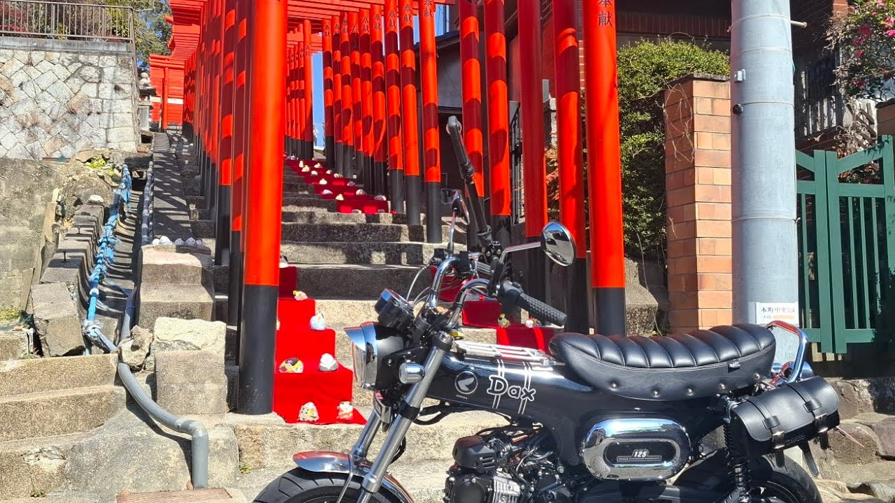 久しぶりにダックス125でナニコレ珍百景#ダックス125 #ナニコレ珍百景 