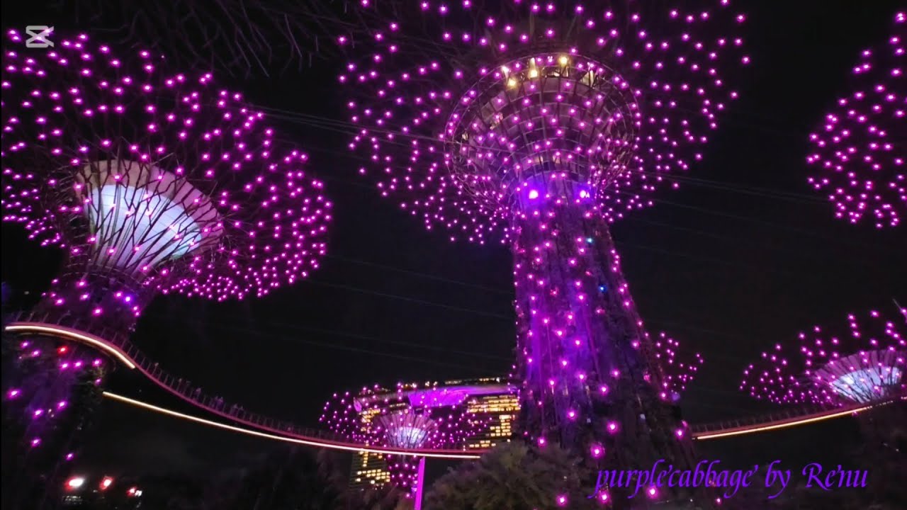 Most beautiful and wonderful Christmas wonderland ✨️  #singapore #2025 #2026 #beautiful #lights 