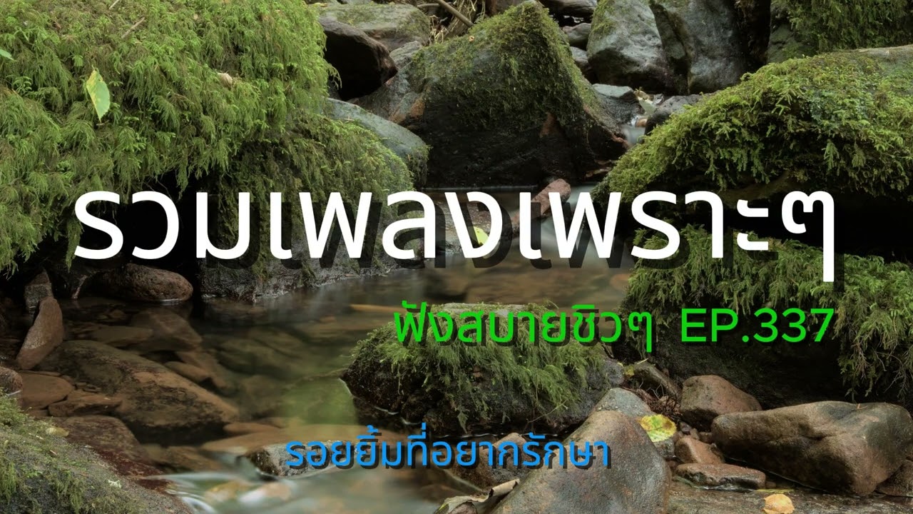 รวมเพลงเพราะๆ ฟังสบายชิวๆ EP.337 | Mellow Mix 3600