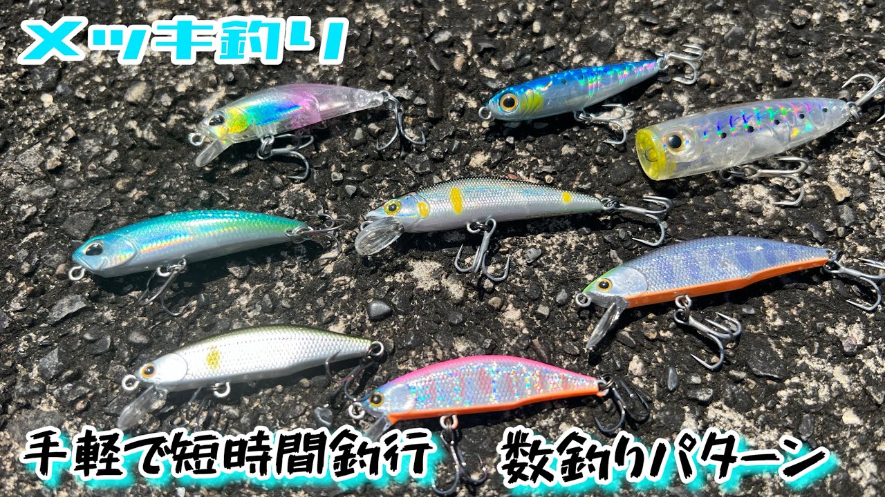 【メッキ釣り】手軽で短時間釣行　数釣りするには〇〇が大切