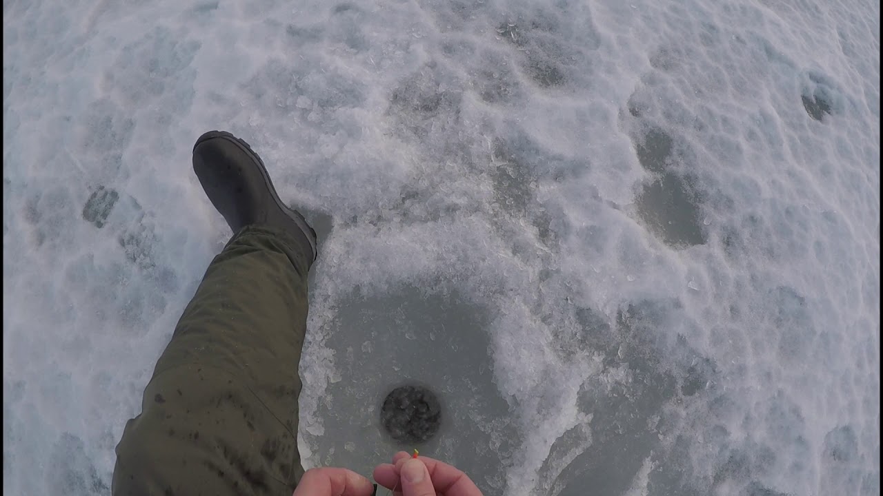 DM-Pimpel Björköfjärden 2019