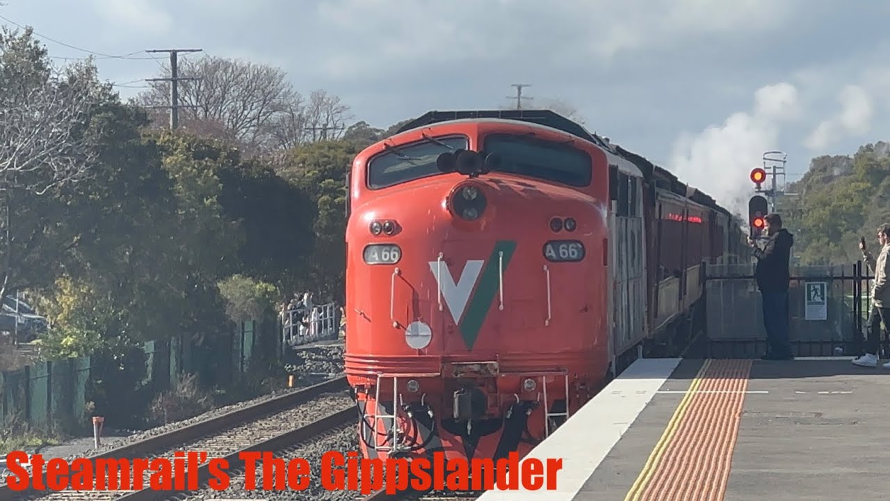 Steamrail’s the Gippslander!