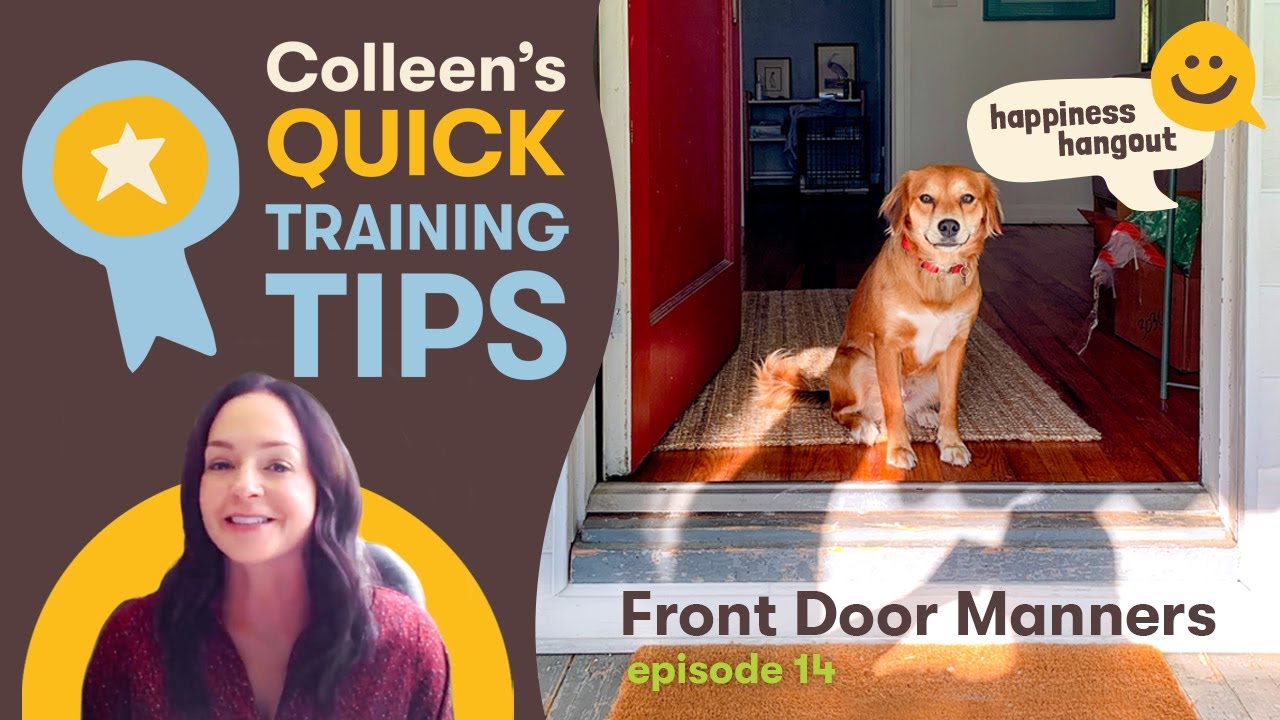 Front Door Manners | Colleen's Quick Training Tips