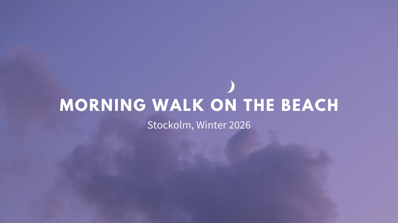 A relaxing walk on the beach - Stockholm, Winter 2026