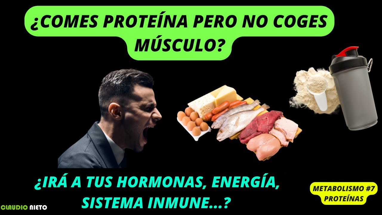METABOLISMO 7: ¿Qué pasa con la PROTEÍNA que comes? (No todo va al MÚSCULO…)