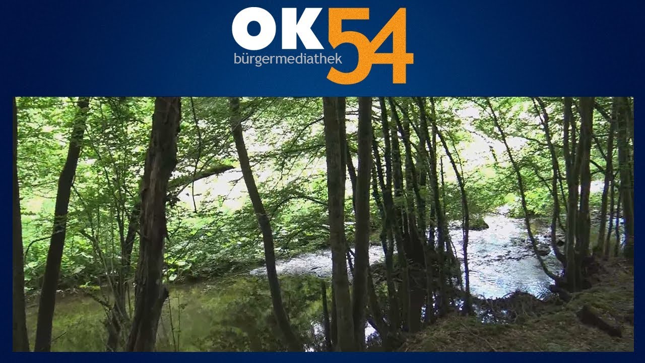 Hier bei uns: Die Dhron - Von der Quelle bis zur Mündung