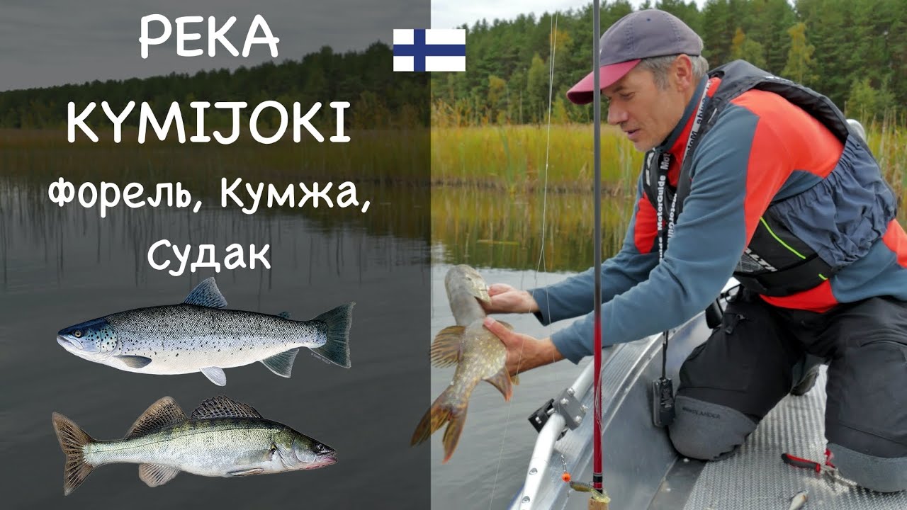 Рыбалка в Финляндии. Река Kюмийоки. Отчет о рыбалке №1.