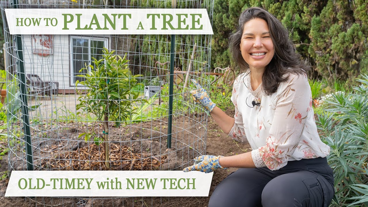 How To Plant A Tree: 7 Generations of Secrets: Gophers & Deer Be Gone!