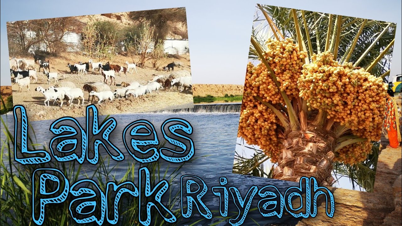 First travel after quarantine |  Lakes Park Riyadh | Beautiful lake Al Haeer | Dates farm