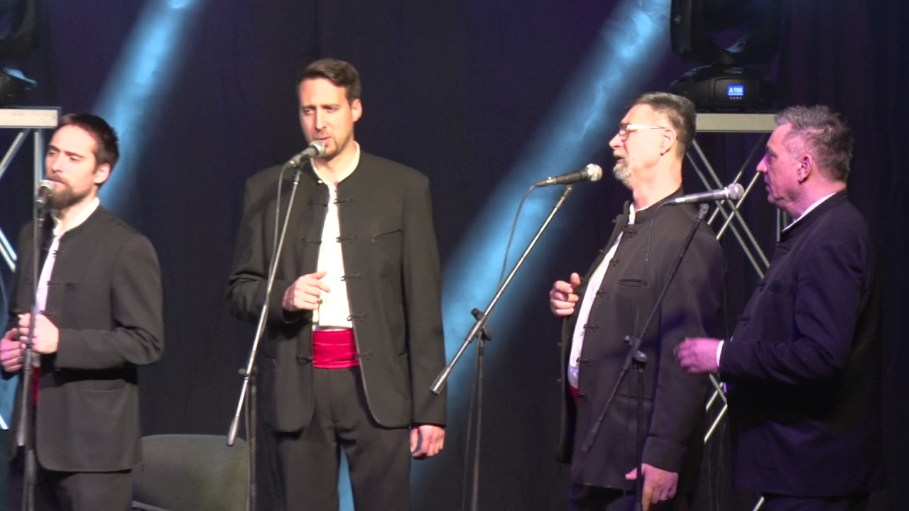 Klapa Cambi Split - Projdi Vilo (8.ožujka 2017. ŠC GRIPE)